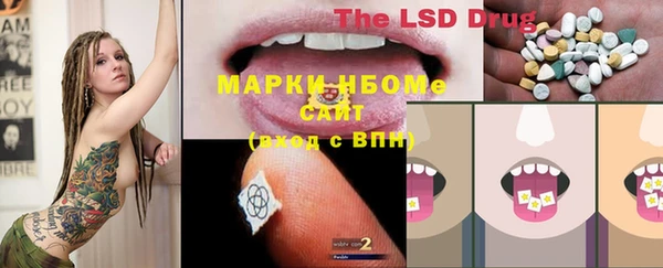 ГАЛЛЮЦИНОГЕННЫЕ ГРИБЫ Карталы