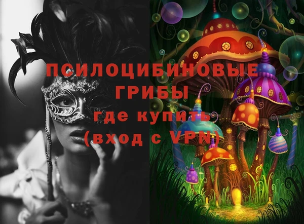 синтетический гашиш Карпинск