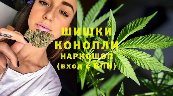 ГАЛЛЮЦИНОГЕННЫЕ ГРИБЫ Карталы