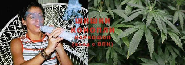 ГАЛЛЮЦИНОГЕННЫЕ ГРИБЫ Карталы