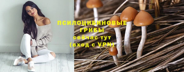 соль ск Касимов