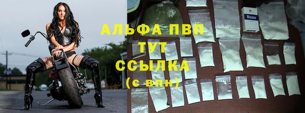 ГАЛЛЮЦИНОГЕННЫЕ ГРИБЫ Карталы