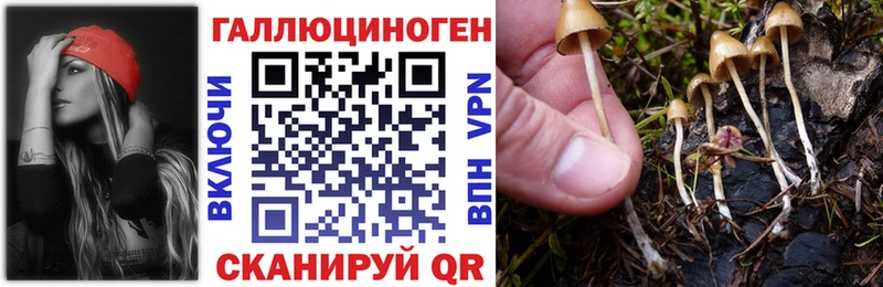 Купить  Пудож  Псилоцибиновые грибы Magic Shrooms 
